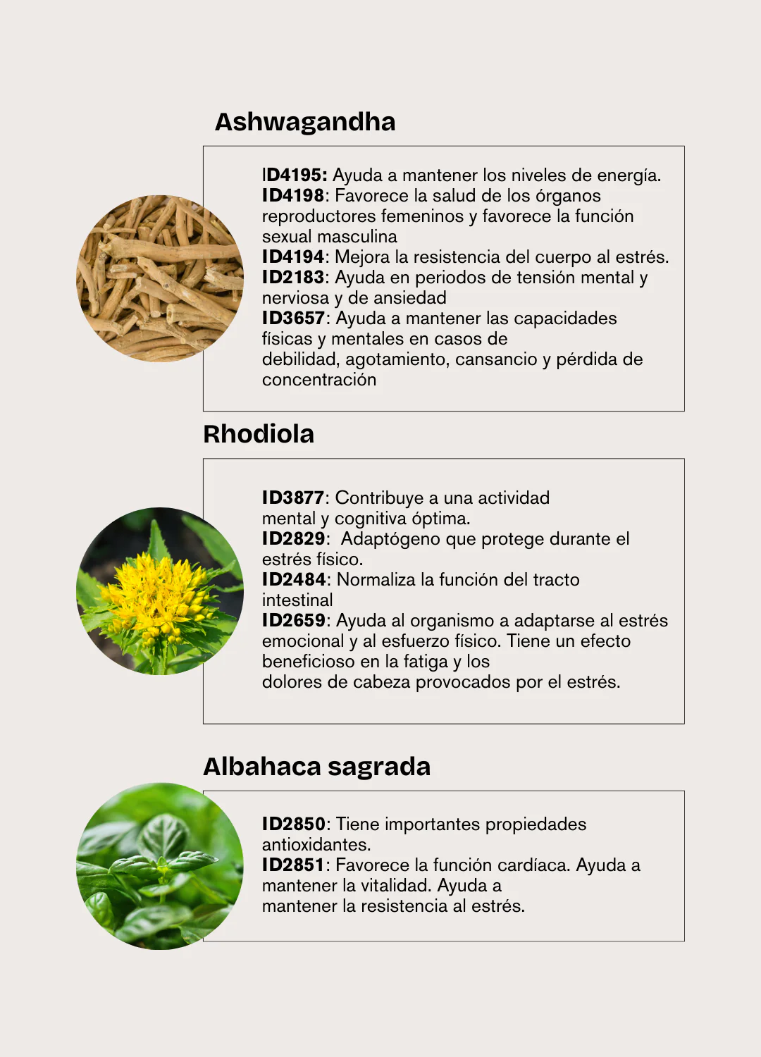 Imagen del producto 9